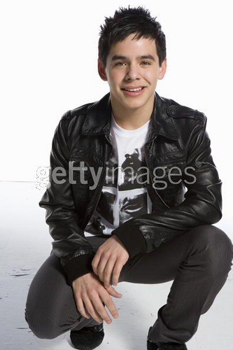 David Archuleta has been captured in both song and in interviews during the